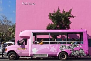 2-Hour Hollywood Bus Tour - Meeting point at 6509 Hollywood Blvd: start easy, end right where you began