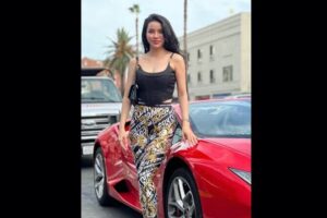 20-Minute Driving Tour: Hollywood to Sunset Blvd in a Lamborghini - The Supercar Experience: Lamborghini Title Meets Ferrari-Style Reality