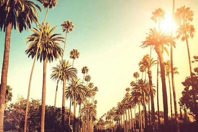 3.5-Hour LA Story Tour: Our Most Popular Los Angeles Tour! - Dolby Theatre: walking the Awards corridor vibe