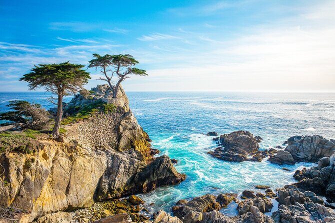 3-Day Tour: San Francisco, Yosemite National Park and LA - Down to business in Yosemite National Park