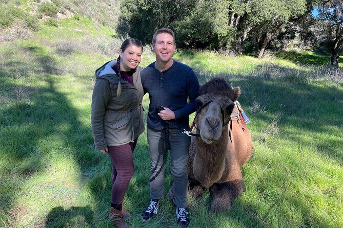 3 Hour Camel Trek into the Forest and Ranch in California - Starting at Reptacular Ranch: meeting your camels and getting set up