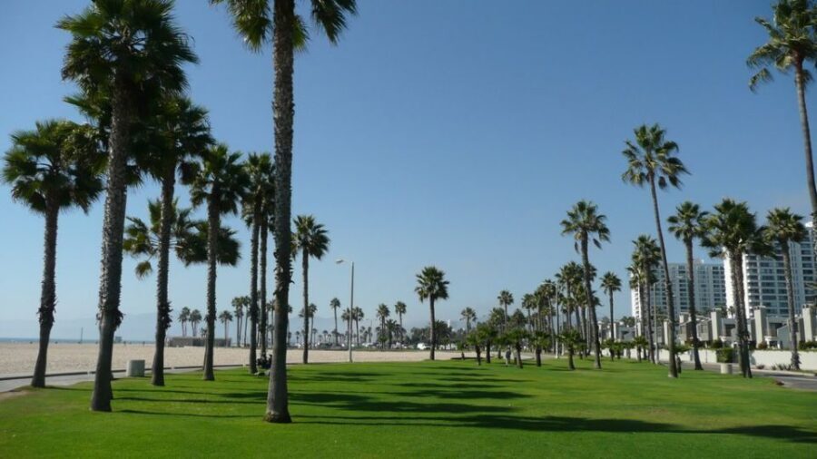 Best of Los Angeles Day Tour with German-Speaking Guide - Lunch, Timing, and the Reality of LA Traffic