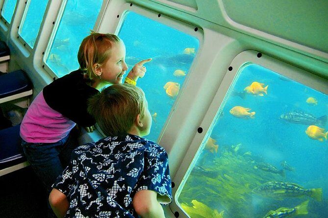 Catalina Island Day Trip from LAX area hotels with Undersea Adventure - The Catalina Express crossing: 1 hour of coastline views
