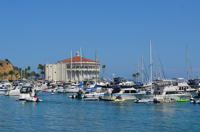 Catalina Island w/Discover Avalon Scenic Tour & Hotel transfers - Why This Catalina Day Works: Pickup + a Guided Avalon Start