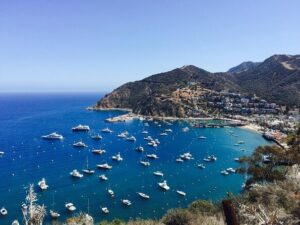 Catalina Island w/Discover Avalon Scenic Tour & Hotel transfers - Catalina Express Ferry: What the Smooth Hour Really Changes