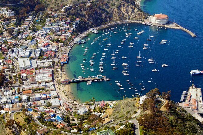 Catalina Island w/Discover Avalon Scenic Tour & Hotel transfers - Your Free Time in Avalon: Shops, Restaurants, and Descanso
