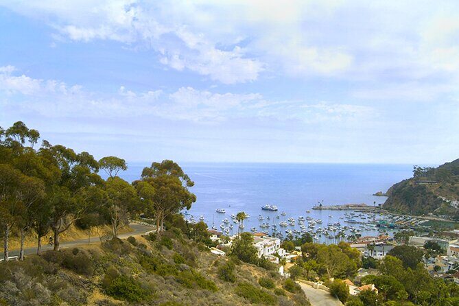Catalina Island w/Discover Avalon Scenic Tour & Hotel transfers - Finding the Tour Meeting Point Once You’re On the Island