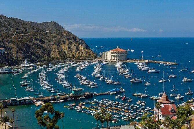 Catalina Island w/Discover Avalon Scenic Tour & Hotel transfers - Timing Reality Check: When Avalon Feels Short