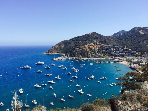 Catalina Island w/Discover Avalon Scenic Tour & Hotel transfers - Catalina Express Ferry: What the Smooth Hour Really Changes