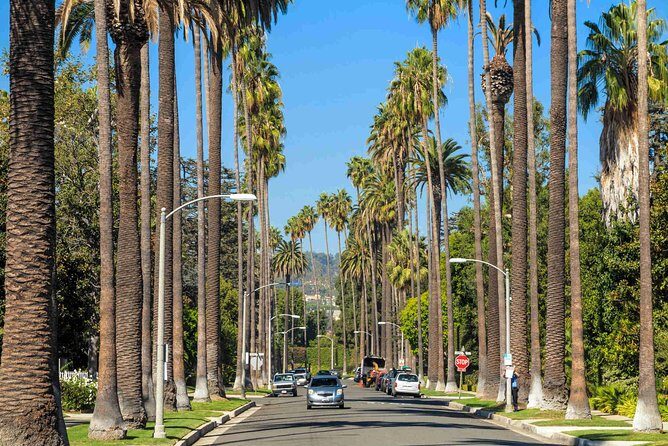 Deluxe Los Angeles 5-Hour Limo Tour with Drinks Included - Driver quality: why the chauffeur personality matters here