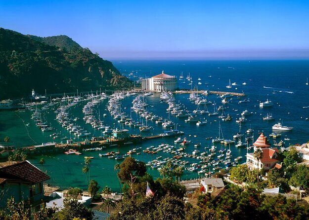 From LA: Catalina Island with Zipline Tour and Hotel Pickup - Key highlights