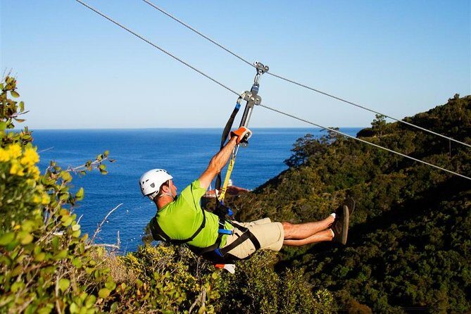 From LA: Catalina Island with Zipline Tour and Hotel Pickup - The Zip Line Eco Tour Over Descanso Canyon: Fast, High, and Guide-Led