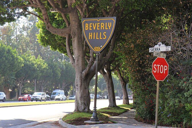 Full-Day LA Tour: Santa Monica, Hollywood and Beverly Hills - Hollywood Walk of Fame Around Grauman’s and Dolby: Fast Photos, Real Street Buzz