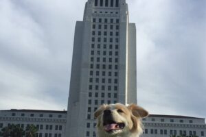 Ghosts of the Golden Age: Los Angeles Haunted Theater Tour - Meeting at 846 S Broadway and how the 1-hour timing works