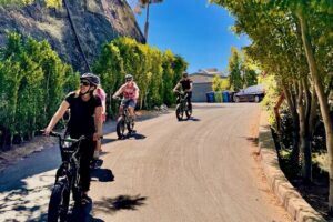 Griffith Observatory: Scott E-Bike Tours LA Private Tour - Hollywood Sign time: free viewpoint energy and a star-studded ride