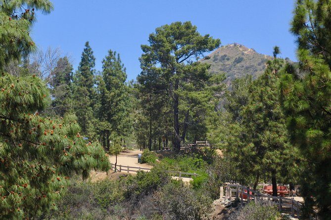 Griffith Park & Hollywood Sign Sunset Hike - How Hard Is It, Really? Fitness Tips That Keep You Enjoying the Sunset