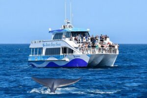 Guided Whale Watching Tour from Long Beach - Boarding day mood: comfortable catamaran, but dress for real ocean weather