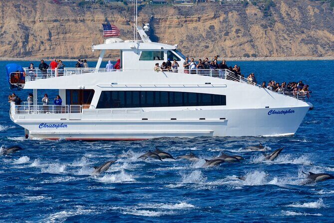 Guided Whale Watching Tour from Long Beach - The outbound cruise: Queen Mary, open ocean searching, and a lot of scanning