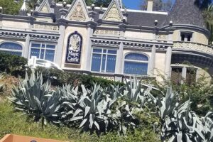 Hollywood and Beverly Hills Half-Day Tour with Exclusive Stops - Live guide commentary: what to expect from a good narrator