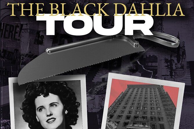 Hollywood Horror Story: The Black Dahlia Funeral Limo Tour - Hollywood Horror Story in a Cadillac: The Vibe and Why It Works