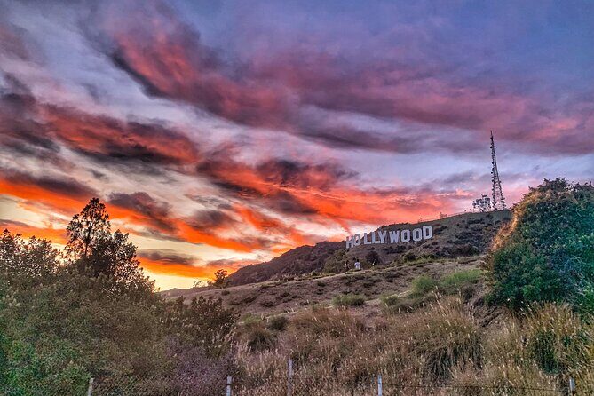 Hollywood Sign Express Tour with Comedians and Their Dogs - Stop 3: Griffith Park viewpoints—an LA mix beyond the Sign