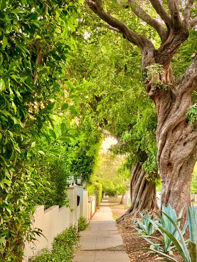 Hollywood Walking & Hiking Sunset Tour with LA Skyline Views - Should you book this tour?