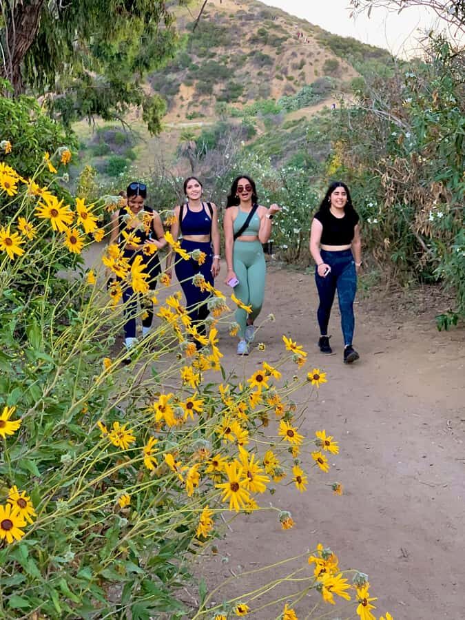 Hollywood Walking & Hiking Sunset Tour with LA Skyline Views - Practical tips for shoes, pacing, and getting great photos