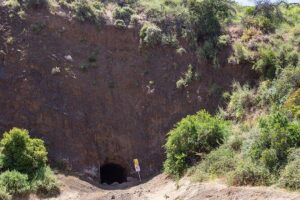 Holy Biodiversity, Batman! A Naturalist's "Batcaves" Tour - The one-hour format: compact, focused, and easy to fit into a day