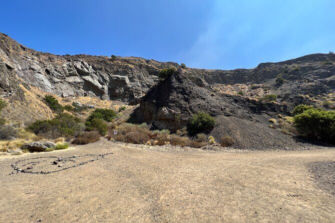 Holy Biodiversity, Batman! A Naturalist's "Batcaves" Tour - Stop 2: Griffith Park walking time with plant smells and uses