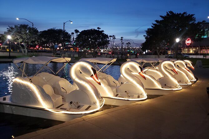 Illuminated Swan Boat Night Ride on Rainbow Lagoon in Long Beach - Pedaling a Swan: Steering, Effort, and Why It Feels Different