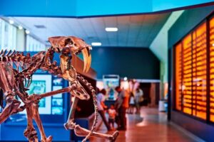 La Brea Tar Pits and Museum Admission Ticket with Excavator Tour - 2-hour game plan: museum flow, walking, and catching the Excavator Tour
