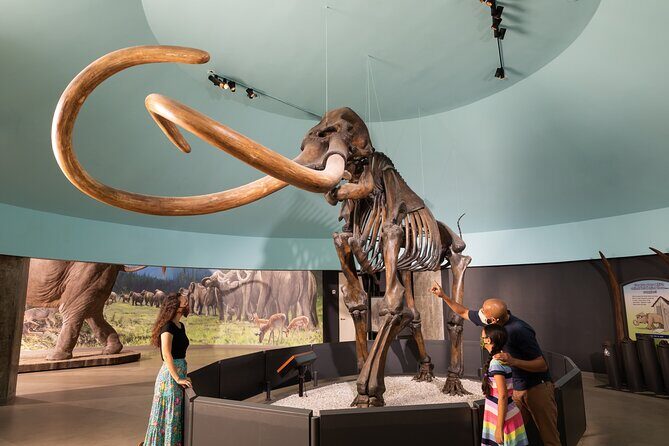 La Brea Tar Pits and Museum Admission Ticket with Excavator Tour - Pit 91, Observation Pit, and Project 23 dig sites (the “still working” part)