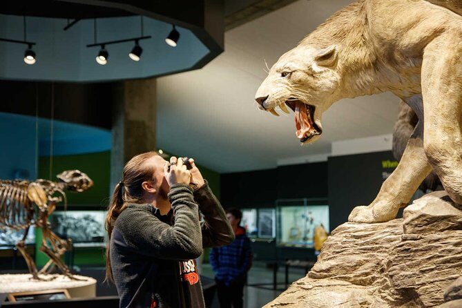 La Brea Tar Pits and Museum Admission Ticket with Excavator Tour - Museum exhibits: Ice Age animals you’ll recognize, and how they fit together