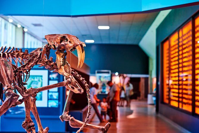 La Brea Tar Pits and Museum Admission Ticket with Excavator Tour - 2-hour game plan: museum flow, walking, and catching the Excavator Tour