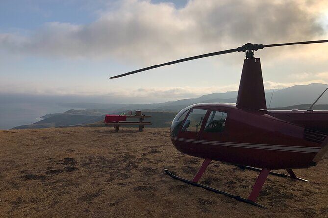 LA Helicopter Tour with Malibu Landing - Venice Beach from the sky: for people who like variety