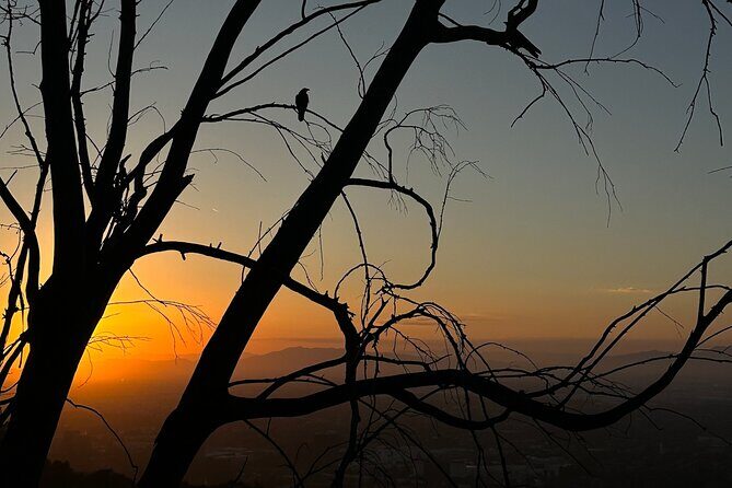 LA Night Hikers - On the Trail: 3 Miles, Easy-to-Moderate Pace, Real Darkness