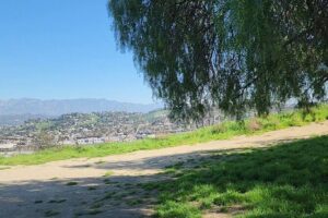 LA River Eco Tour and Secret Stair Hike - Echo Park and Its Secret Stairs: The Hike Actually Gets Interesting