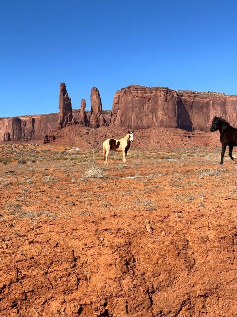 LA: San Francisco, Yosemite, Las Vegas, Antelope, 8-Day Tour - Antelope Canyon: The Explanation Matters as Much as the Views