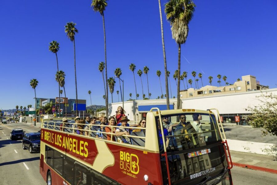 LA: TMZ Celebrity Tour & Big Bus 24-Hour Hop-on Hop-off Tour - Who This Is Best For (And Who Should Skip It)