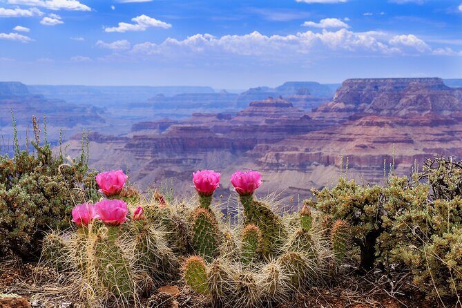 LA: Vegas, Grand Canyon, Antelope and Bryce, Zion 4-Day Tour - Should You Book the LA: Vegas, Grand Canyon, Antelope and Bryce, Zion 4-Day Tour?