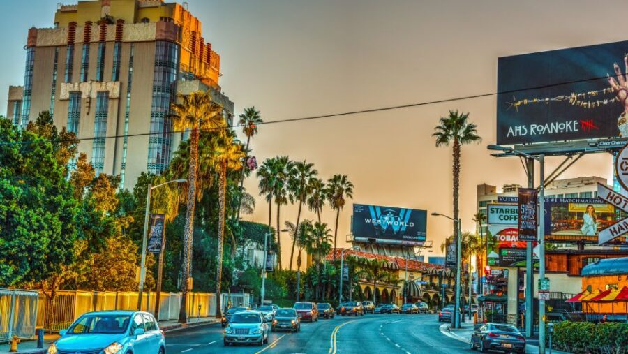 LA VIP Tour : Beverly Hills, Sunset Strip, & Hollywood Sign! - Walk of Fame Near the Chinese Theatre: Ending With the Classic Block