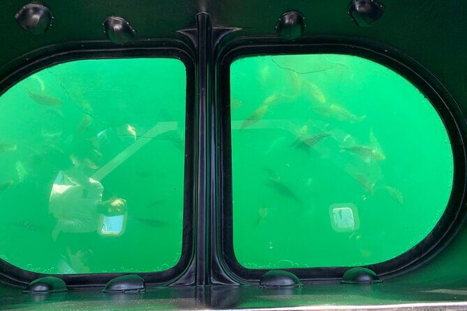 Long Beach Glass Bottom Boat Eco-Tour - Key things to know before you go