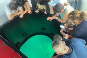 Long Beach Glass Bottom Boat Eco-Tour - Queen Mary from the water: the part you’ll remember
