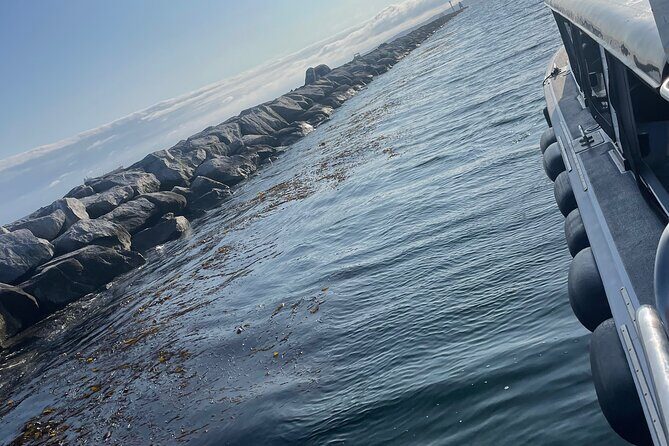 Long Beach Glass Bottom Boat Eco-Tour - Port of Long Beach action: container ships in motion
