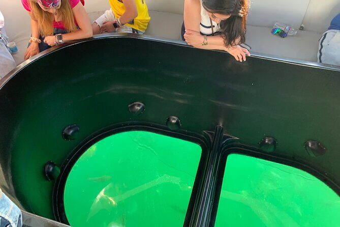 Long Beach Glass Bottom Boat Eco-Tour - Is $30 a good deal for this 1-hour eco-tour?