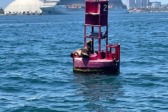 Long Beach Glass Bottom Boat Eco-Tour - Tips to help you spot more and enjoy more