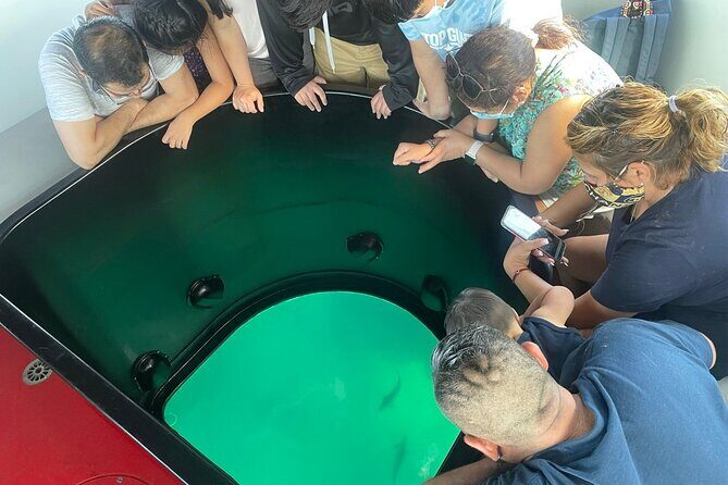 Long Beach Glass Bottom Boat Eco-Tour - Queen Mary from the water: the part you’ll remember