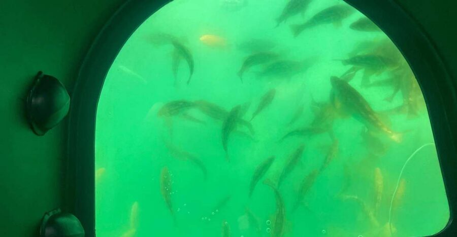 Long Beach: Glass Bottom Boat Harbor Ecotour - Key Things That Make This Tour Worth Your Time