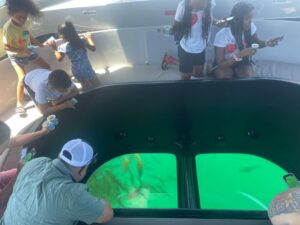 Long Beach: Glass Bottom Boat Harbor Ecotour - What the 1-Hour Ride Feels Like (and why it works for families)