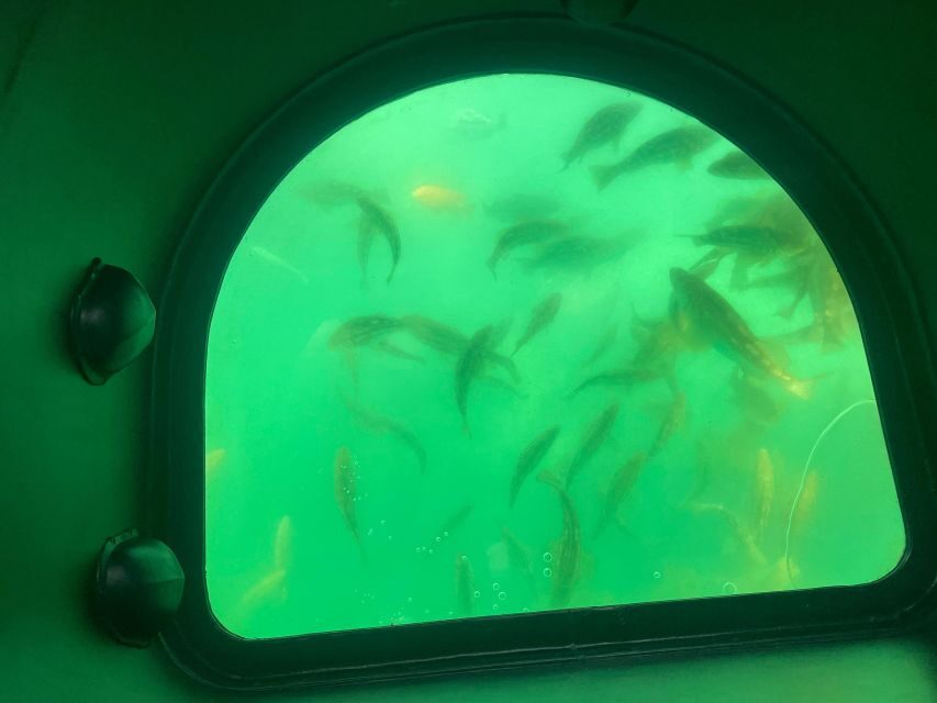 Long Beach: Glass Bottom Boat Harbor Ecotour - The Guide: Education That Sticks More Than Facts Alone